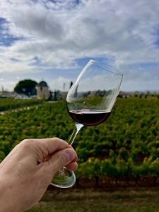 Comment les creisses s’imposent parmi les grands vins du languedoc